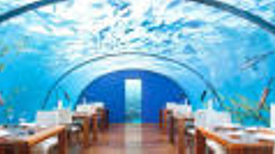 Hotels sota l&#039;aigua: relaxa&#039;t entre espècies marines