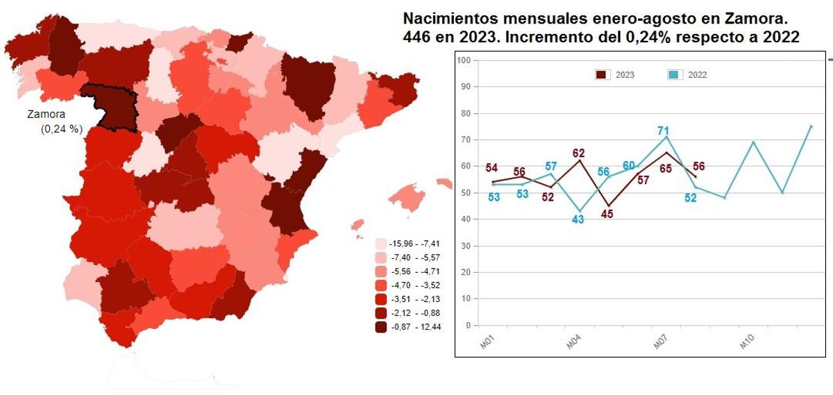 Evolución mensual de los nacimientos en Zamora hasta agosto