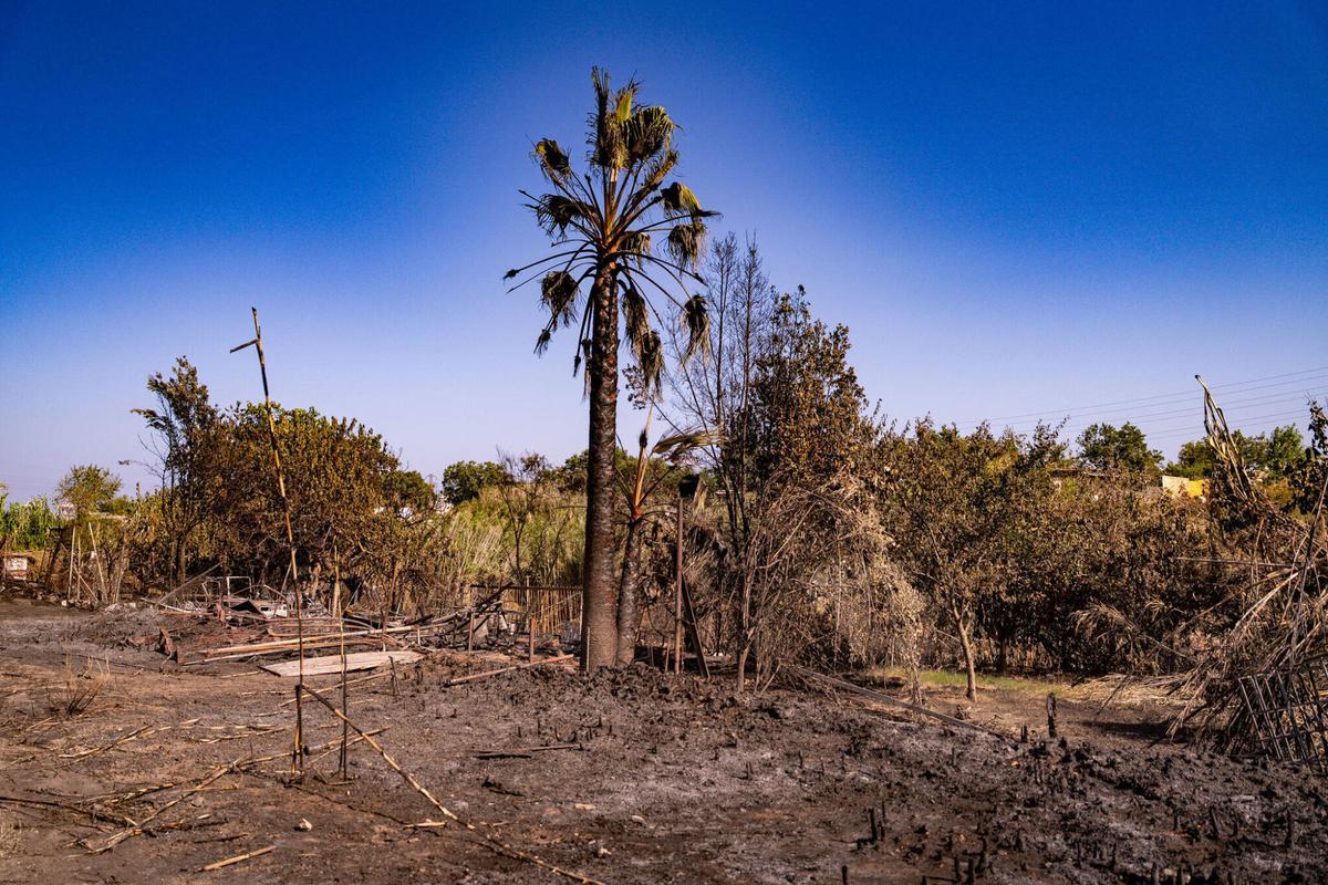 El 1 de julio de 2025, un día después del incendio, la zona de barracas cercana al Port de Barcelona mostraba el devastador impacto en las viviendas. En el mismo lugar, se conversó con vecinos que residen en chabolas improvisadas y que se han establecido allí recientemente.