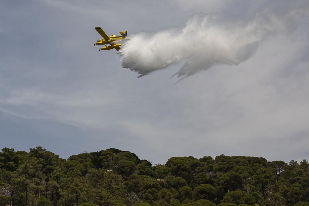 Incendi forestal en una urbanització de Lloret