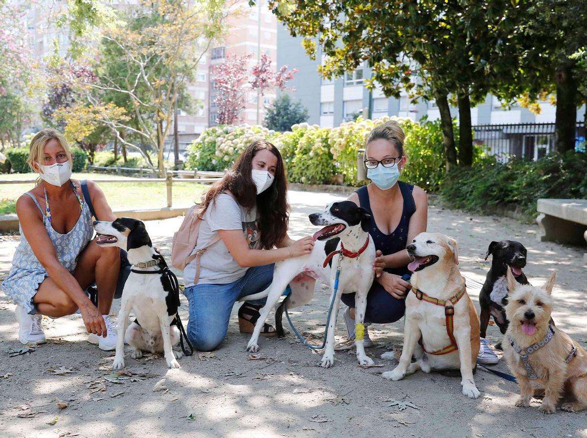 Sheila Pérez (centro) y su perra Dana que ingirió veneno, junto a otras dueñas y sus mascotas