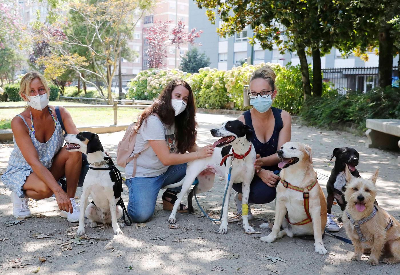Sheila Pérez (centro) y su perra Dana que ingirió veneno, junto a otras dueñas y sus mascotas