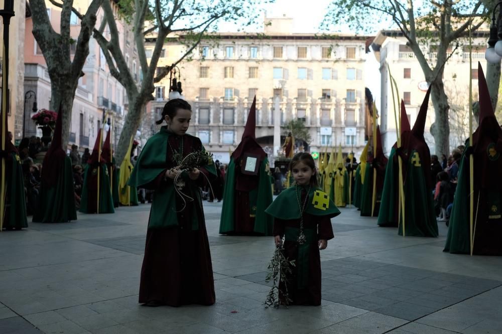 Prozession Ostern 2017 Palma Mallorca Palmsonntag