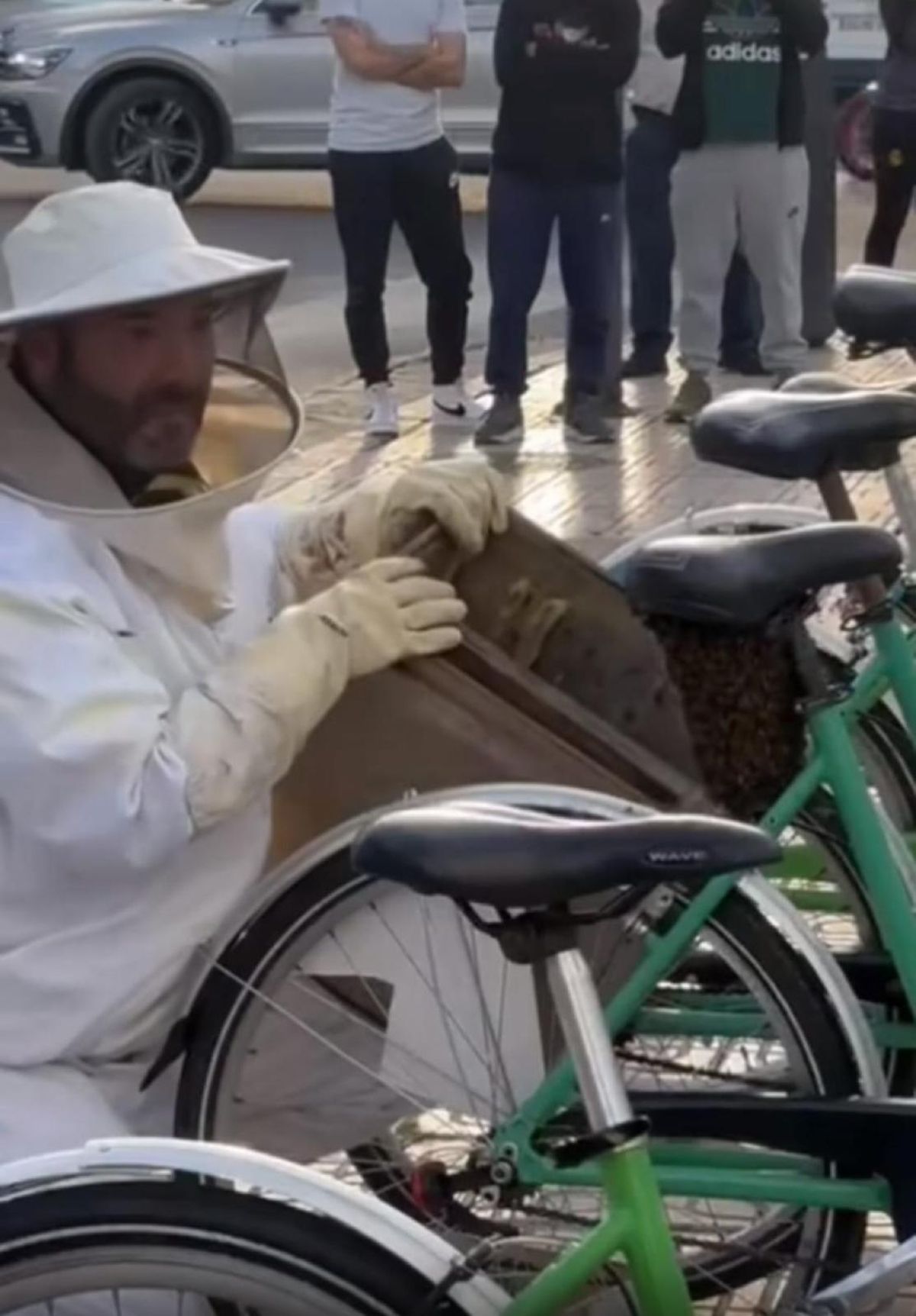 Momento en el que Juan Luis Tercero retira el enjambre de abejas.