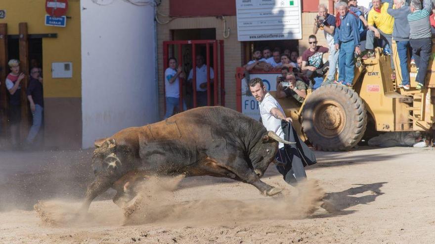 Los &#039;bous al carrer&#039; pueden volver a finales de julio