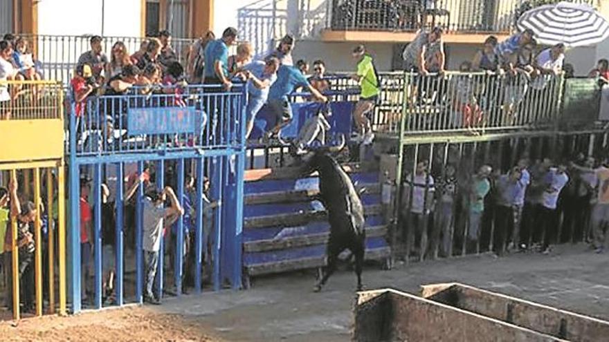 Hermanos Cali gana el concurso de ganaderías