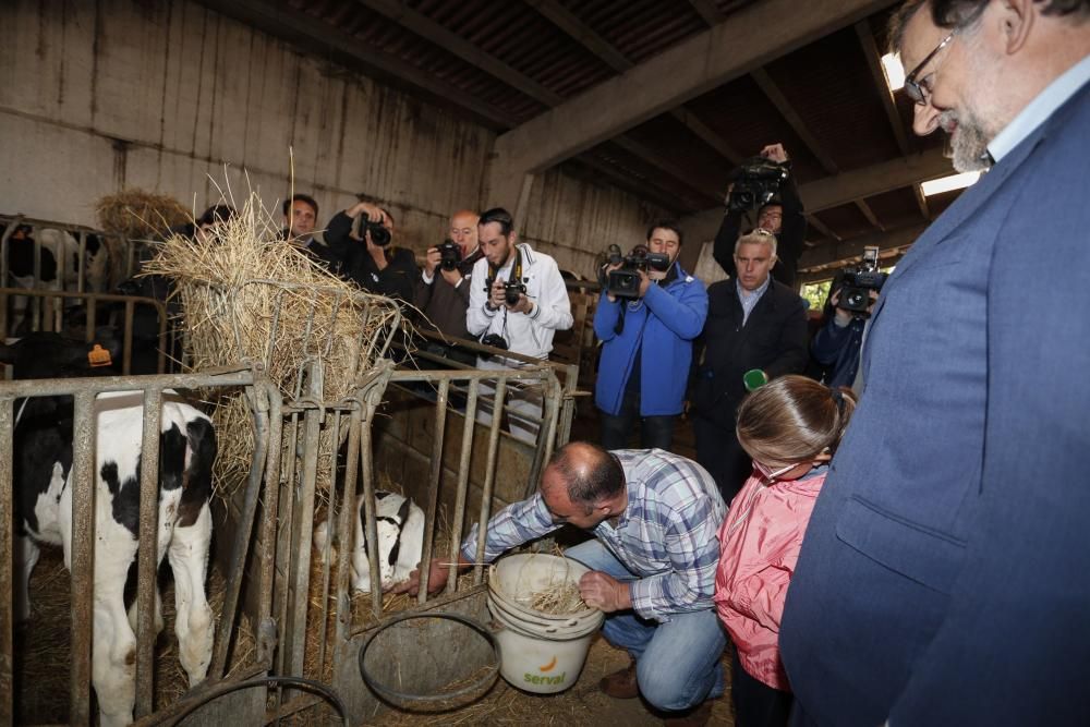 Visita de Mariano Rajoy a una ganadería en Gozón (Asturias)