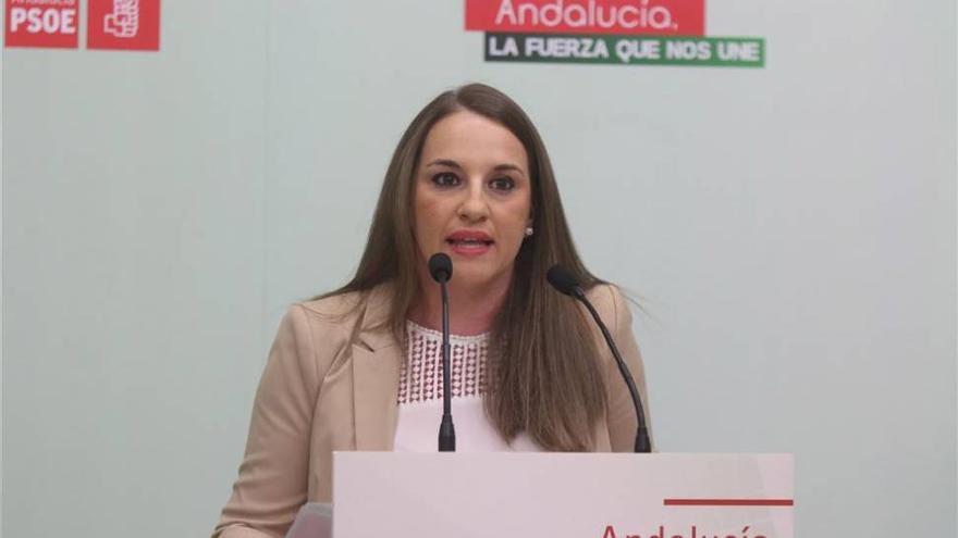 El PSOE-A pide una &quot;una vuelta atrás&quot; de la Lomce