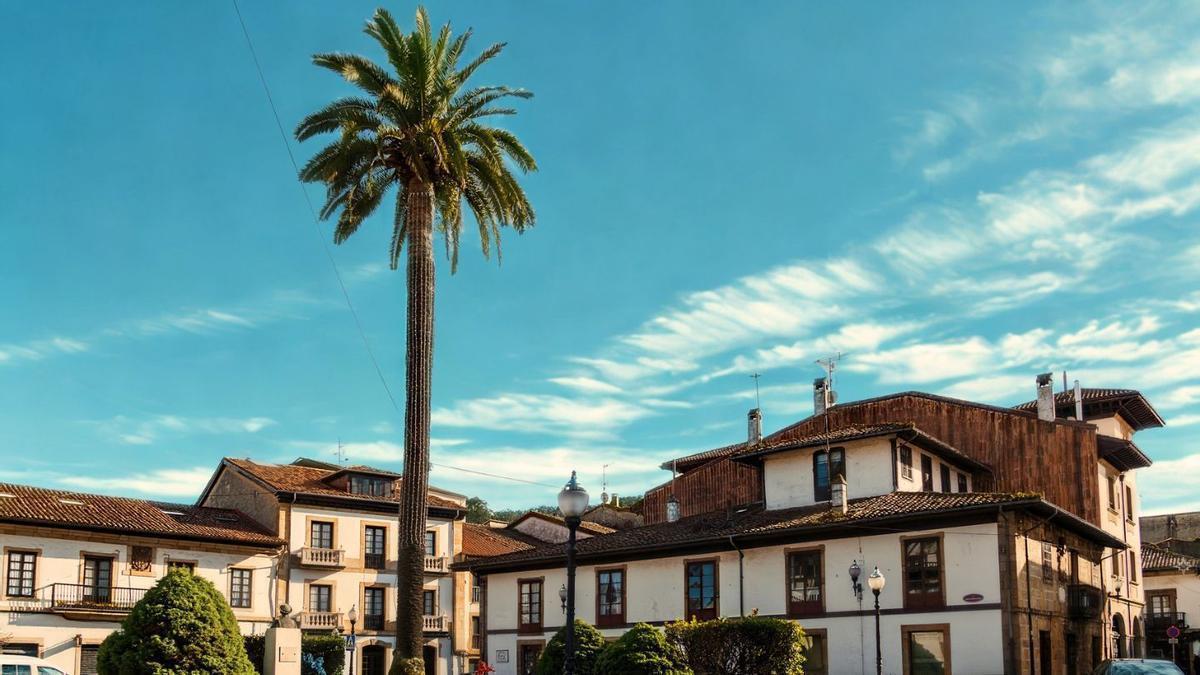 Villaviciosa en Asturias, famoso por sus  pomaradas, sidra artesanal y  ser el lugar de origen de famosas marcas como El Gaitero