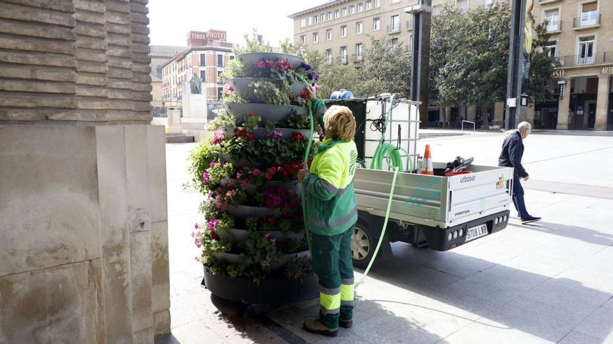 Una jardinera riega las plantas ue hay justo a la entrada del Ayuntamiento de Zaragoza.