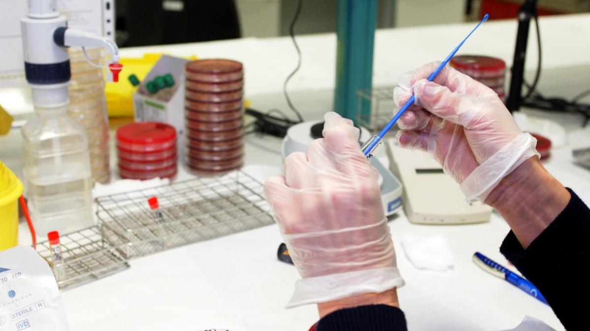 Canarias realiza 160.303 PCR desde el inicio de la epidemia