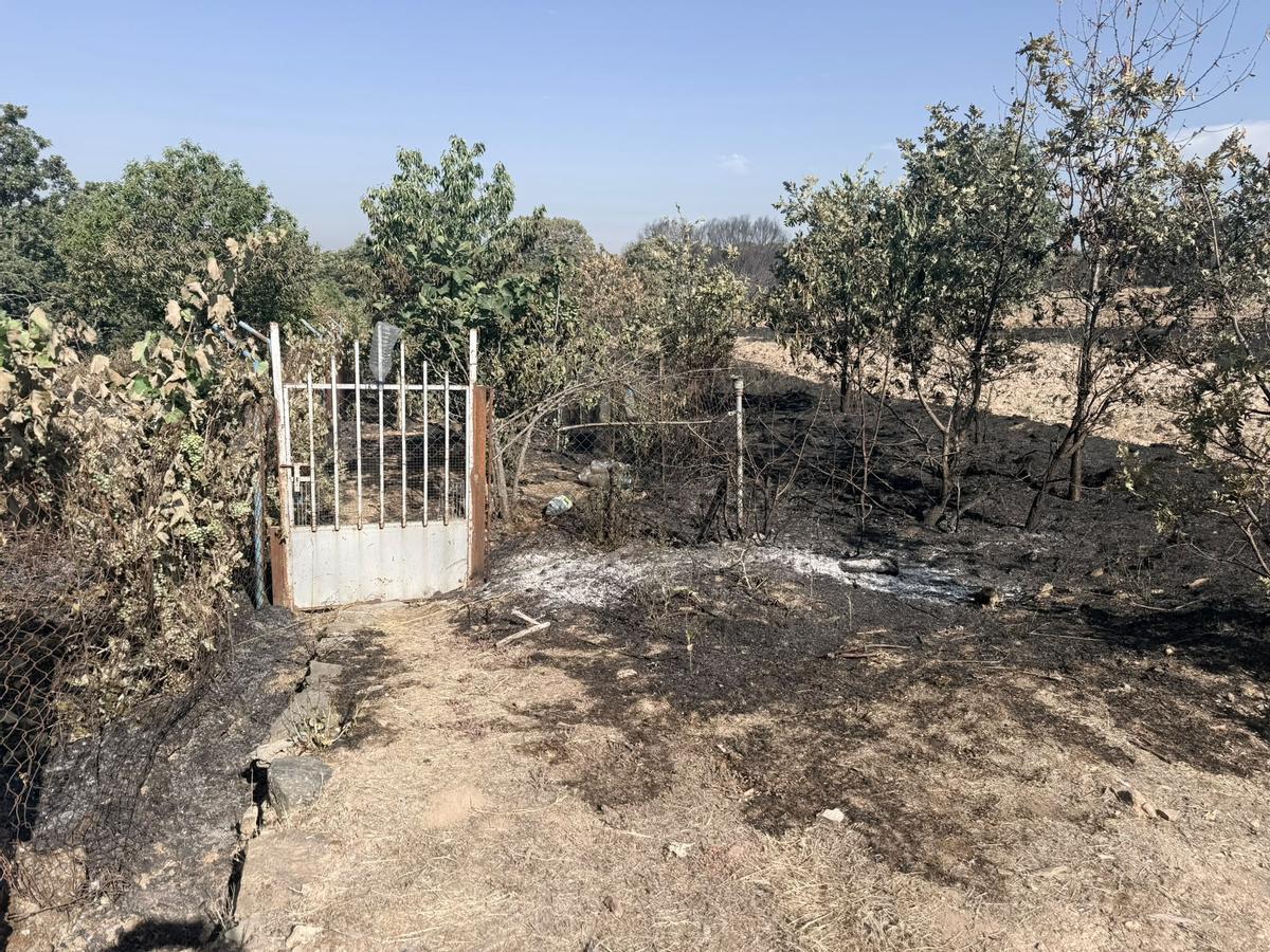 Zona quemada por el incendio en Rábano de Aliste