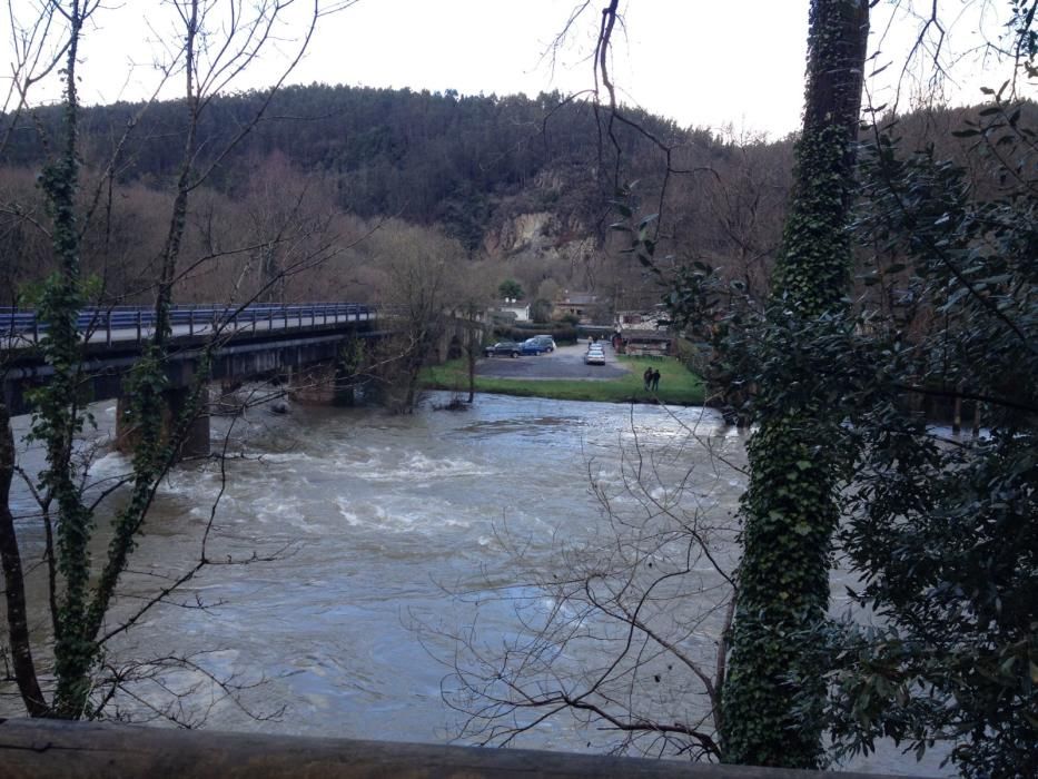 Los ríos Narcea y Nalón, muy crecidos en Pravia.