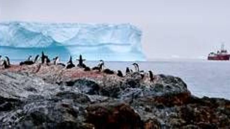 La Uex escruta la Antártida
