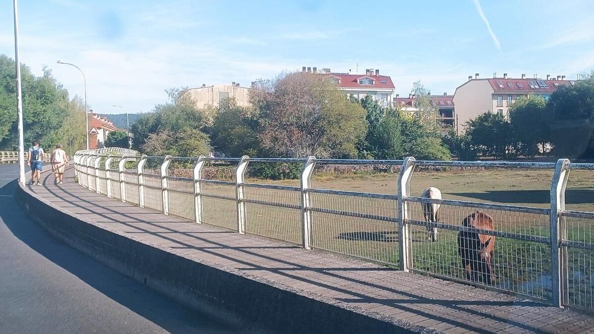 Entorno del puente de A Condomiña, que comunica esta localidad con Bertamiráns, y donde prevén crear un banco de tierras en Agra da Condomiña