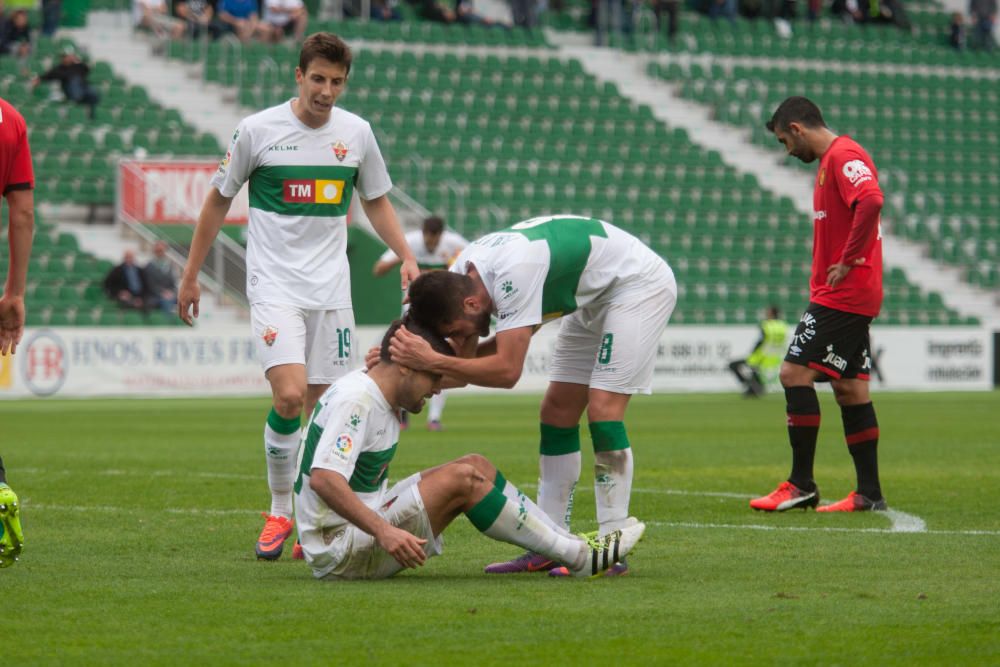 Elche - Mallorca