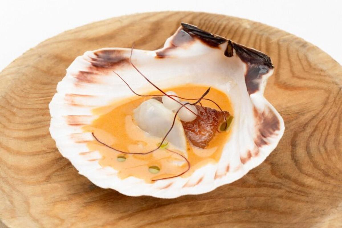 Vieira de vaca de Nómade