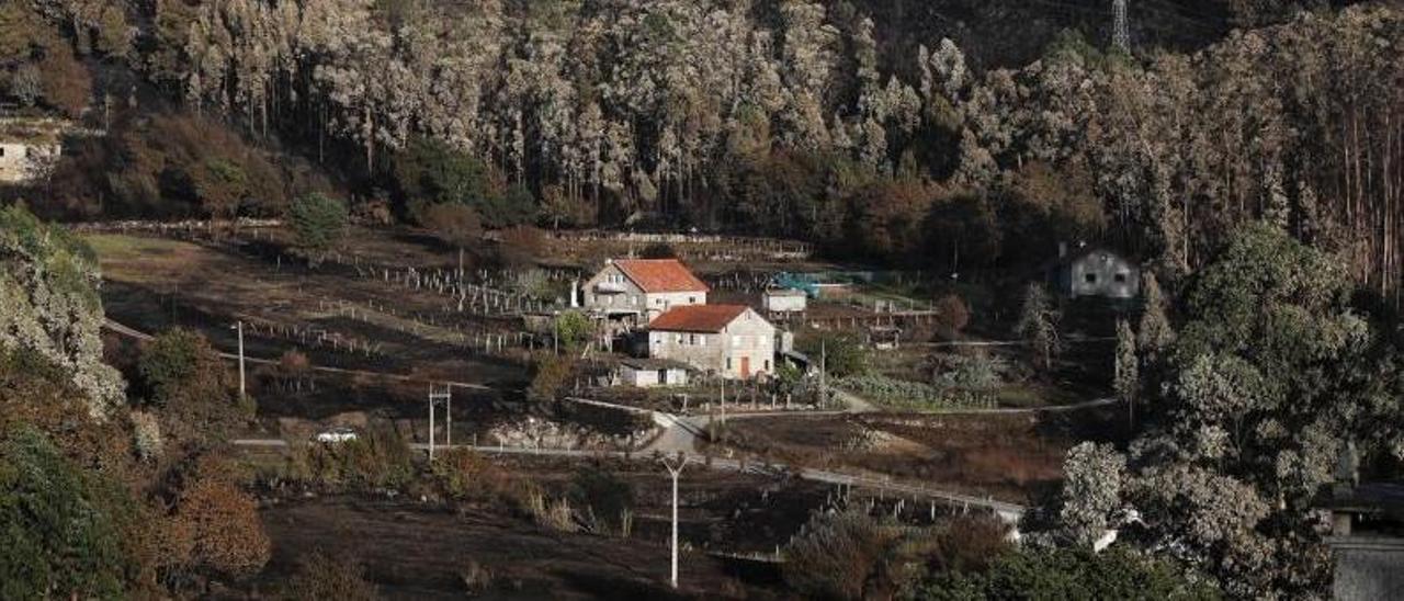 Unas casas en la parroquia de Chandebrito tras los incendios de octubre de 2017. |   // RICARDO GROBAS