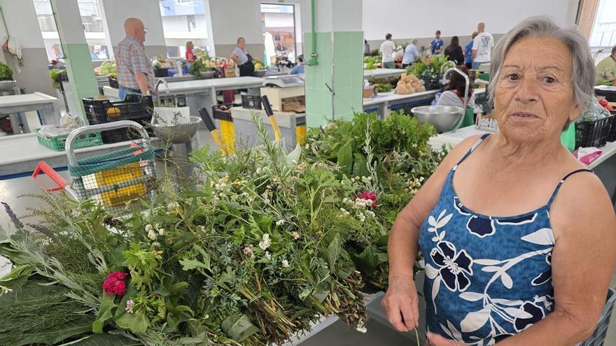 Las hierbas 'milagrosas' de San Juan, entre 2 y 3 euros el manojo en Vilagarcía