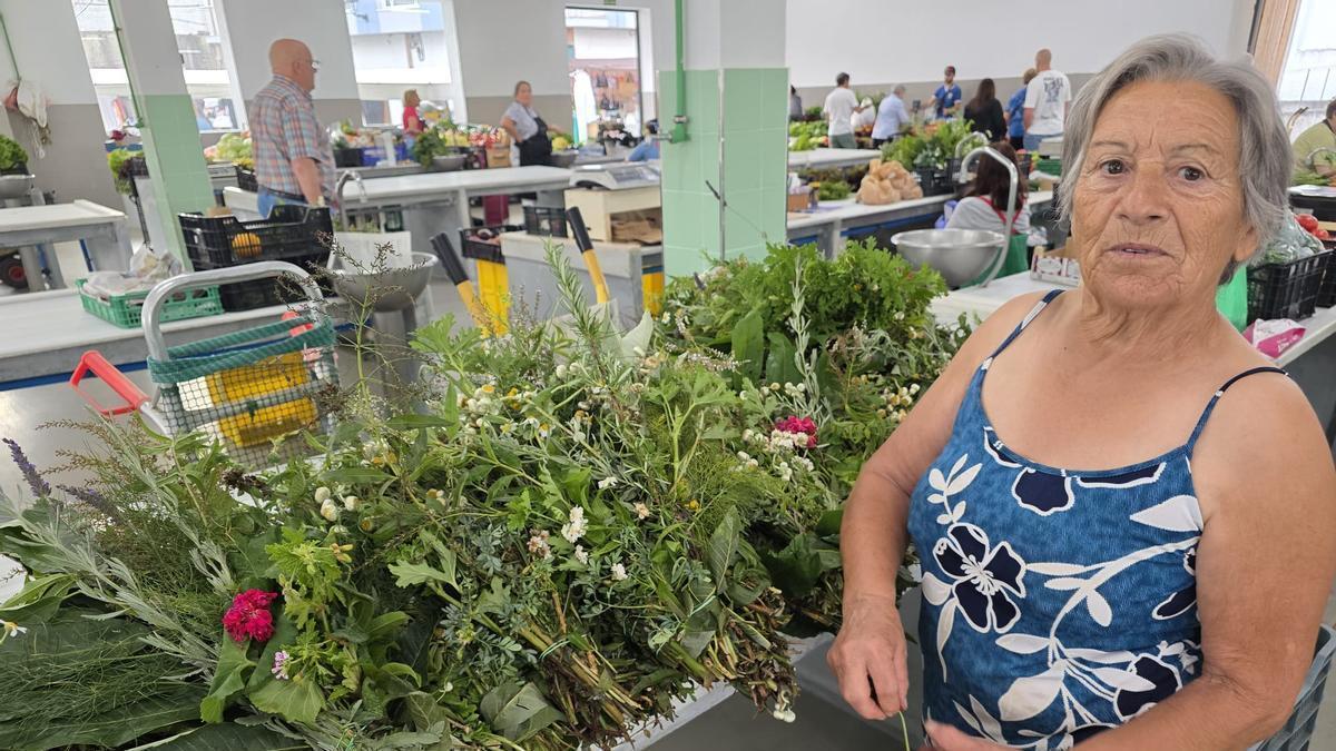 Las hierbas 'milagrosas' de San Juan, entre 2 y 3 euros el manojo en Vilagarcía