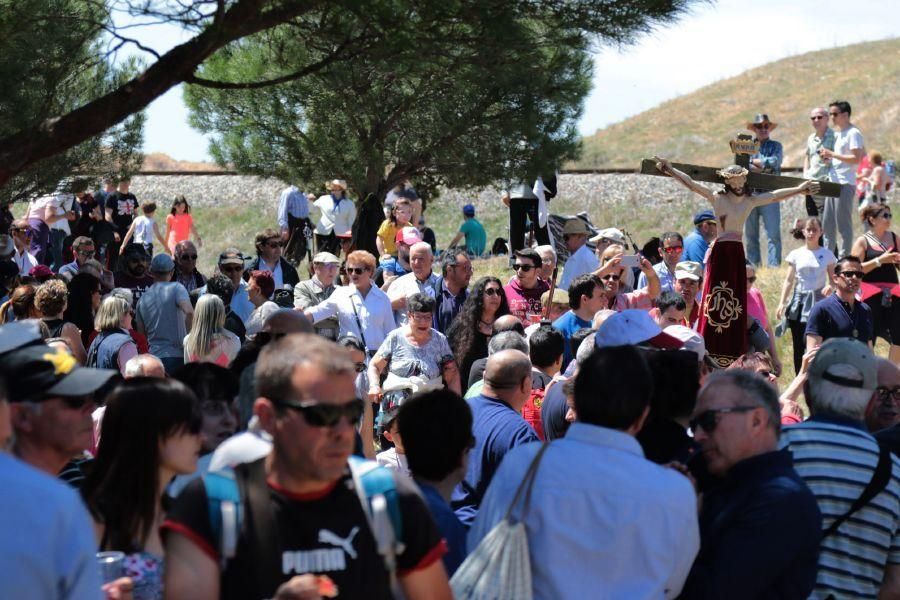 Romería de Valderrey en Zamora