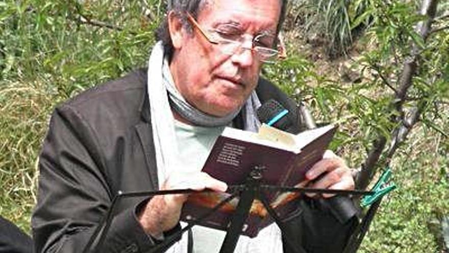 Miquel de Palol