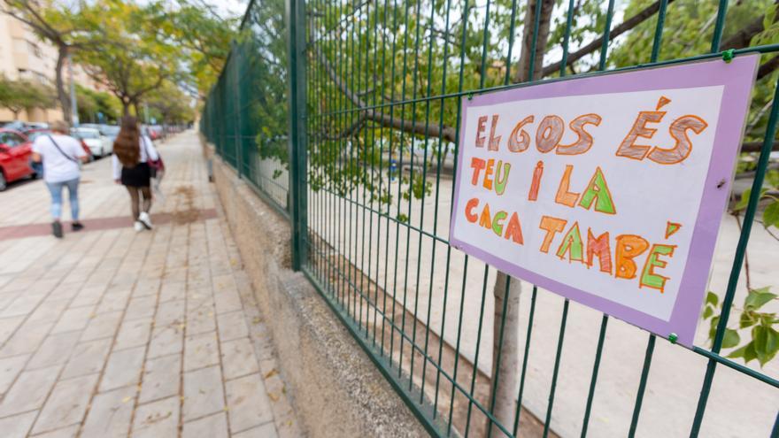 Los alumnos del colegio Azorín de Alicante mandan deberes de civismo a sus vecinos