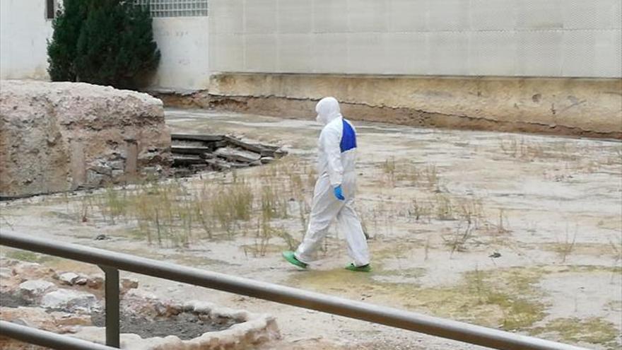 Un resultado ‘extraviado’ confirma que hay tiña en el Teatro Romano