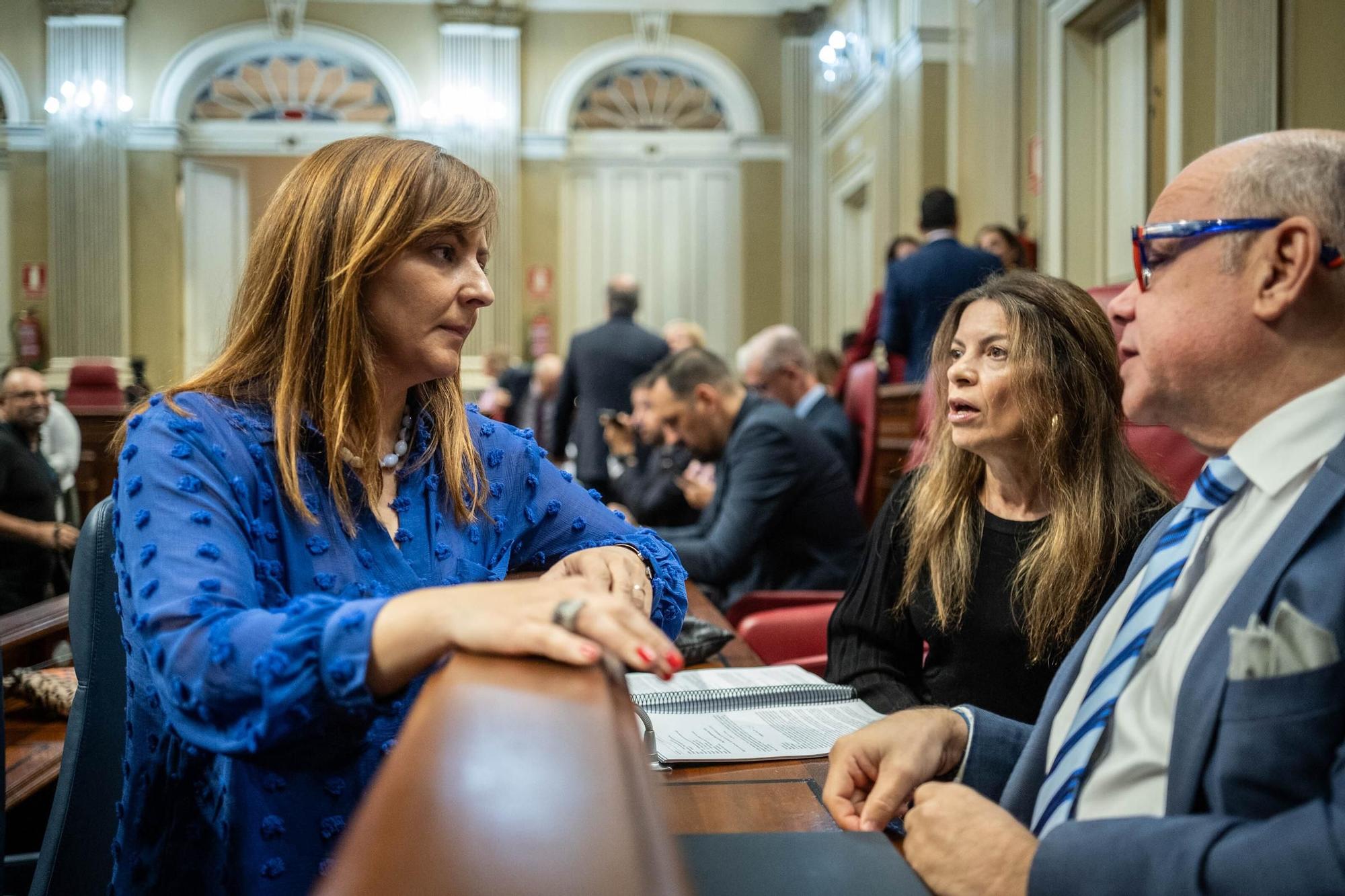 Pleno del Parlamento de Canarias (12.12.09)