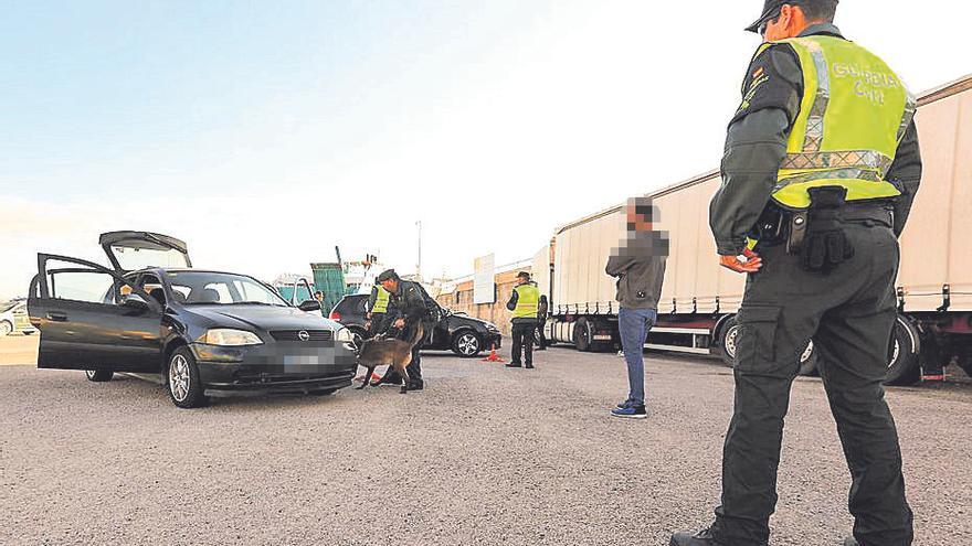 Nube, la perrita de la Guardia Civil que ha localizado diez kilos de cocaína en el puerto de Palma