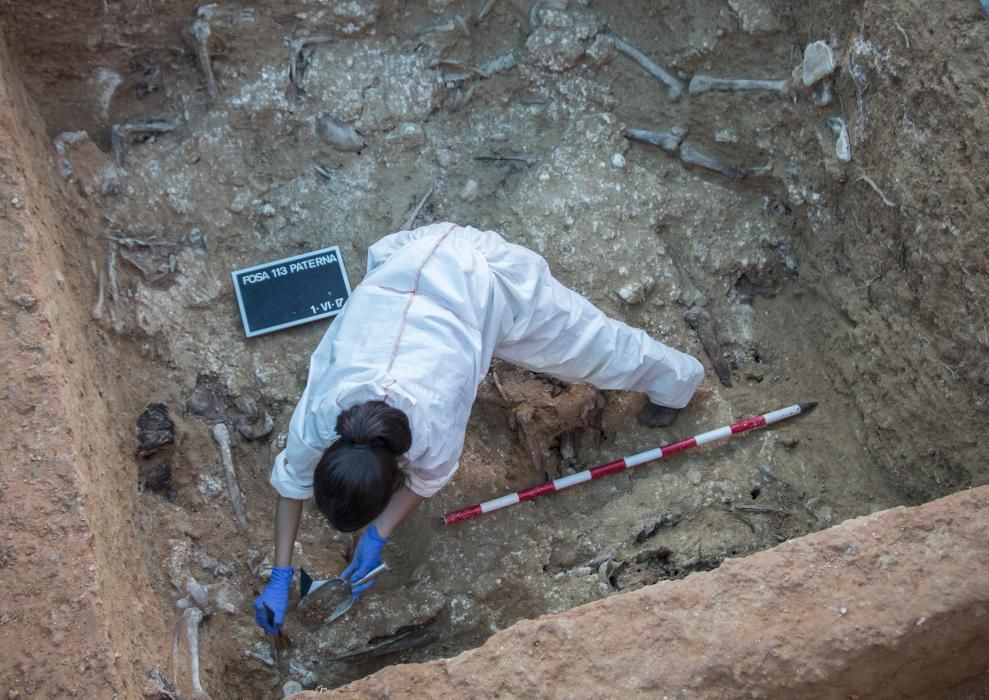 A principios de junio los trabajos de exhumación de los restos  de represaliados del franquismo en la fosa 113 del cementerio de Paterna comenzaron a dar sus frutos. En la fosa, una de las mas grandes de la Comunidad Valenciana se  encontraron al menos los cuerpos de unas 60 personas asesinadas cuyos familiares llevaban años reclamando justicia y reparación por sus seres queridos.