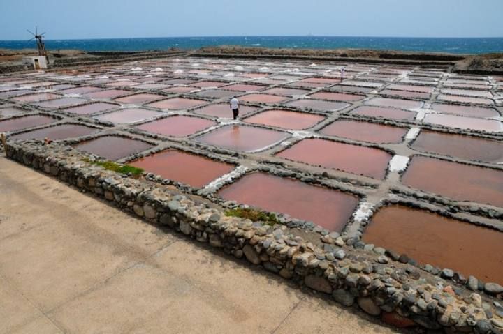 Reportaje en las Salinas de Tenefe en Pozo Izquierdo