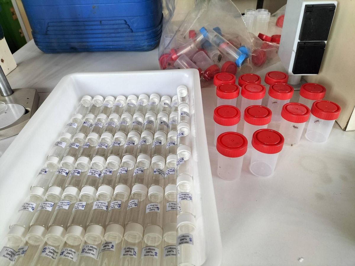 Pruebas de laboratorio realizadas por el estudio.
