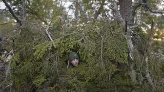 Tres generaciones a la espera de linces y urogallos en 'Whispers in the Woods': "Mirar con calma lo que tenemos delante nos lleva a protegerlo"