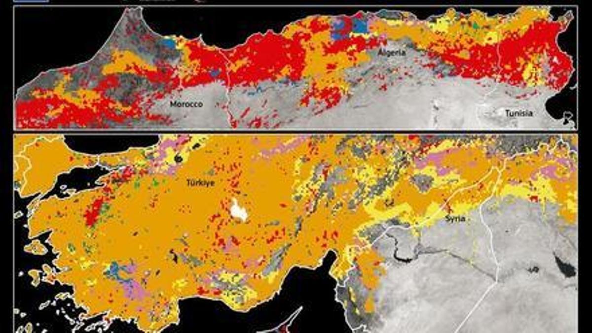 Sequía en el Magreb y en Turquía.