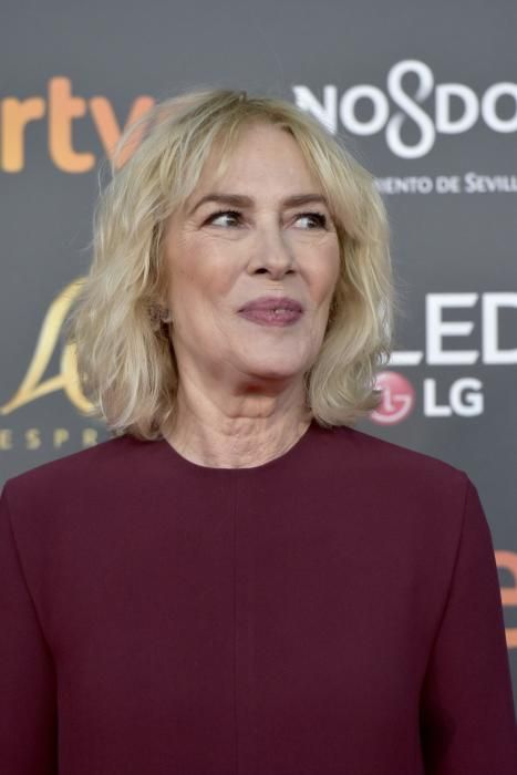 Premios Goya 2019