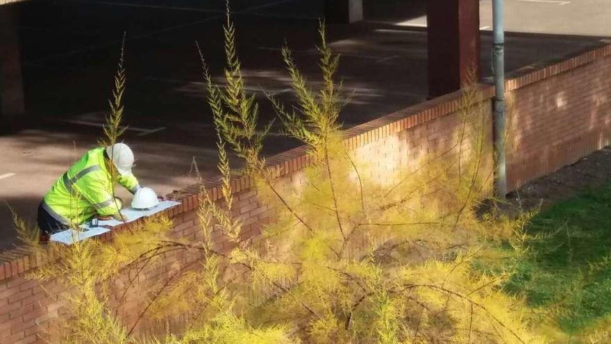 Un técnico supervisa varios planos de la ampliación del Hospital del Oriente de Asturias, ayer, en Arriondas.