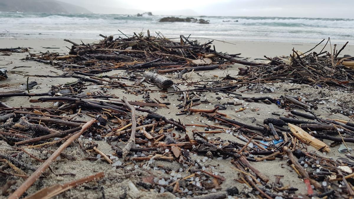 Los efectos de la borrasca arrastran a las playas residuos y vegetación muerta que se mezclan con los pélets