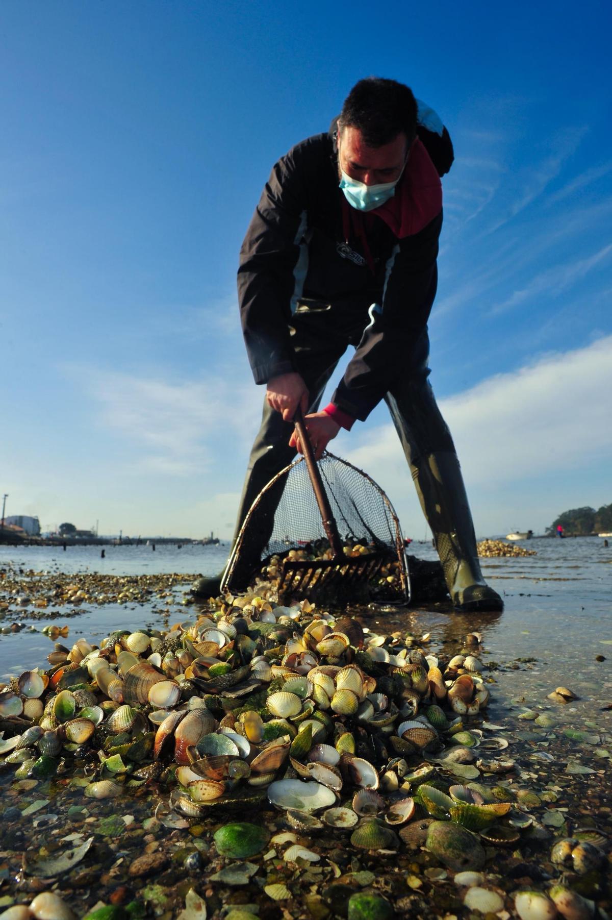 Mariscadores de Carril.