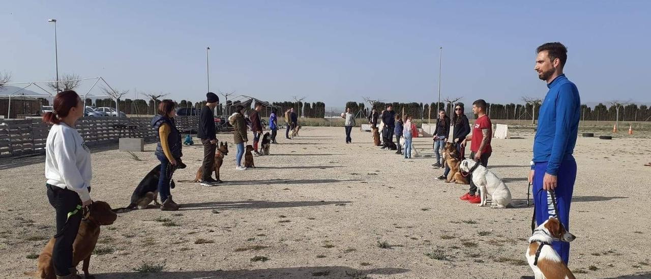 Una sesión de adiestramiento canino con la participación de los perros y sus propietarios, con el profesional José Carlos Soler.