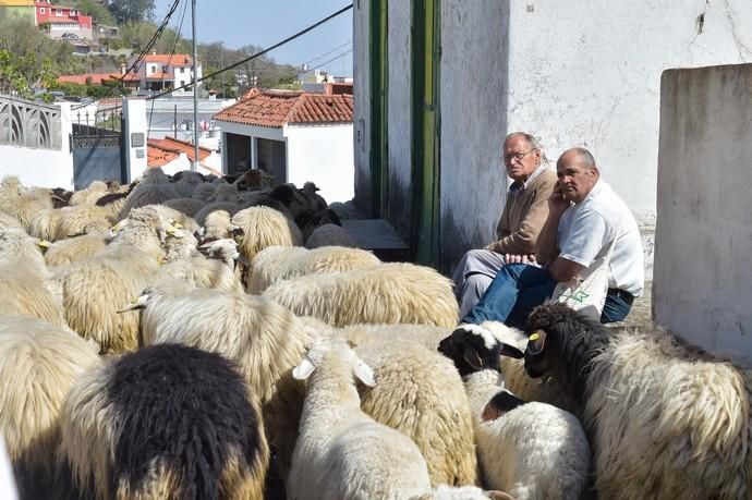 08-03-2020 VALLESECO. Feria del Queso y ruta trashumante femenina en el Cruce de Cueva Corcho. Fotógrafo: ANDRES CRUZ  | 08/03/2020 | Fotógrafo: Andrés Cruz