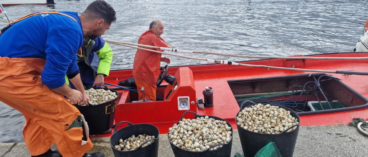 Así se adaptan los mariscadores arousanos emigrados a la ría de Noia