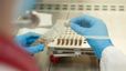 Catalunya crea el primer banc de microbiota fecal de l’Estat per tractar infeccions intestinals greus