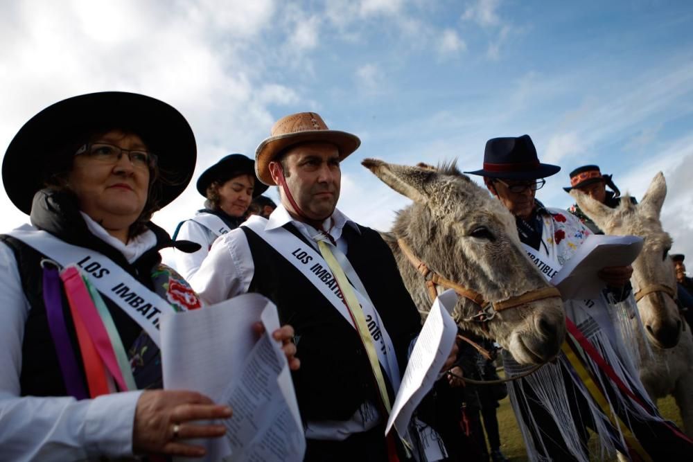 Carrera de cintas en burro en Molacillos.