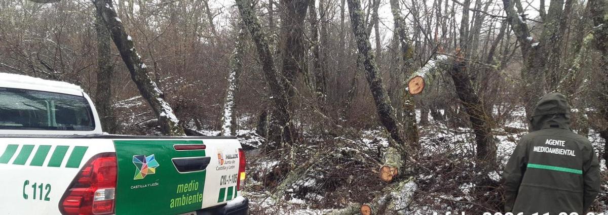 La nieve vuelve a conquistar Sanabria.