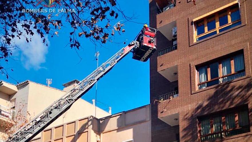 Retiran un alero a punto de caer de una fachada en Palma