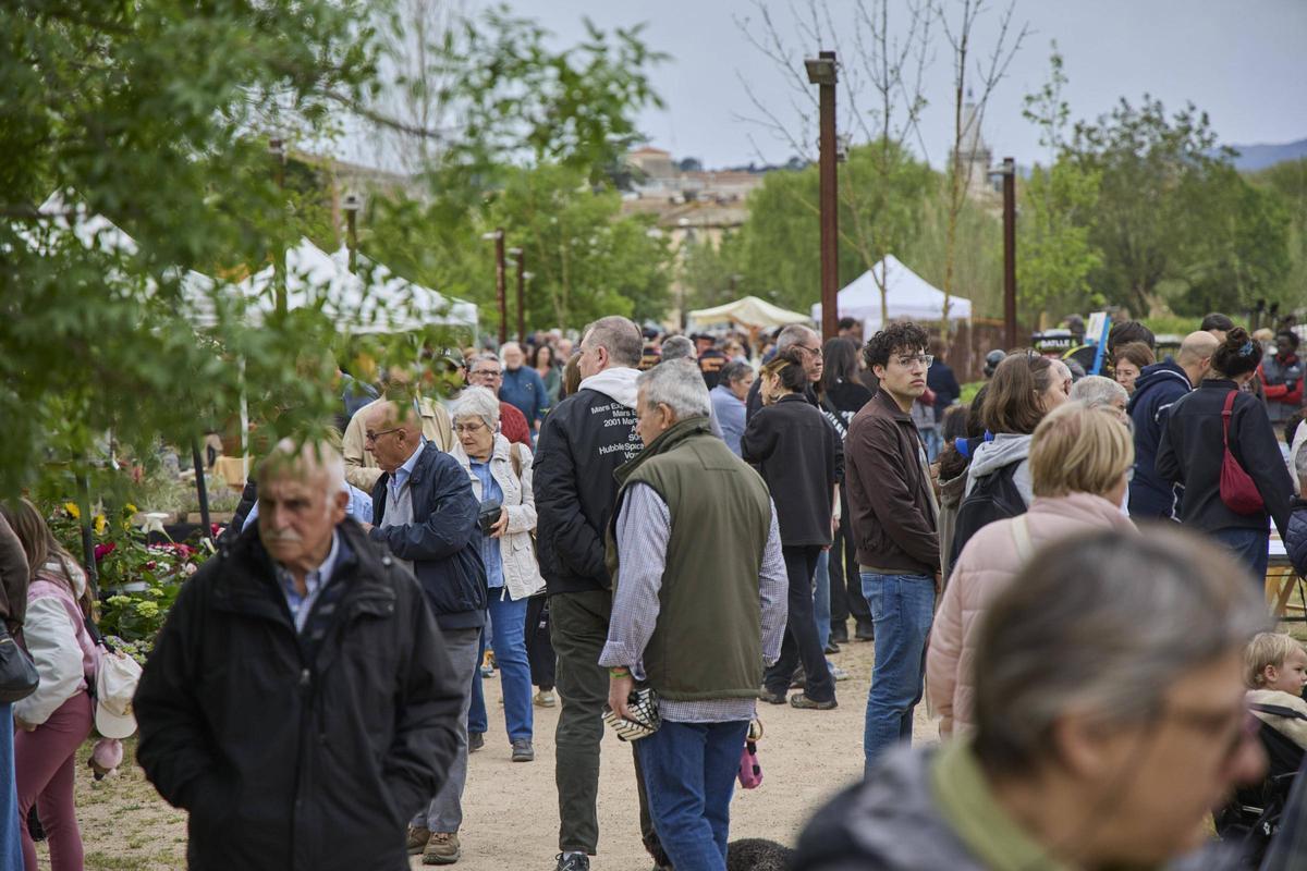Una gentada s’ha acostat per visitar els 34 expositors presents, per participar en algun dels tallers programats o passejar per l’espai natural de la Fira de la Flor i el Planter. Una gentada s’ha acostat per visitar els 34 expositors presents, per participar en algun dels tallers programats o passejar per l’espai natural de la Fira de la Flor i el Planter.