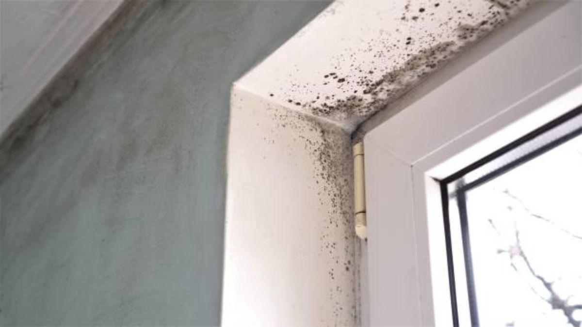 Cómo eliminar la humedad de las paredes de la casa y por qué aparece