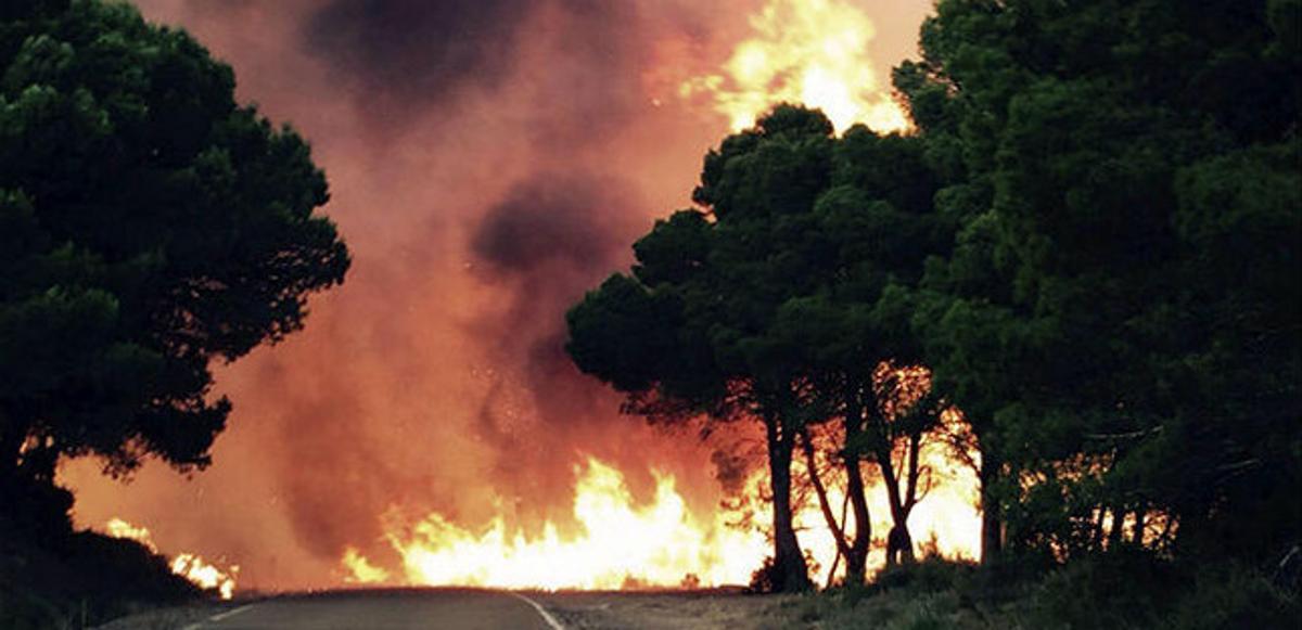 Un incendi forestal afecta des de dissabte una zona d’arbrat i matolls, al terme municipal de Luna, a la comarca saragossana de Cinco Villas.