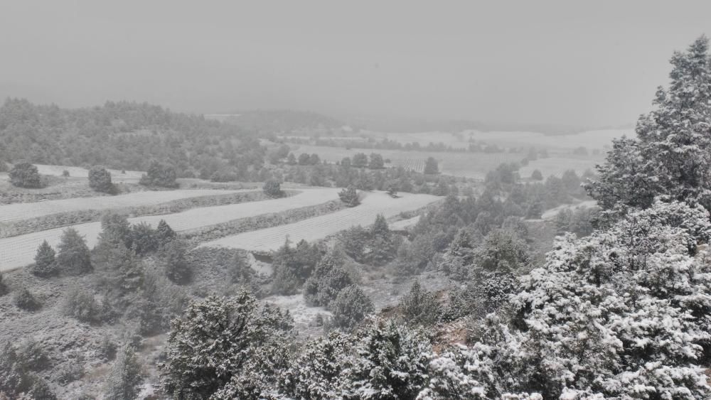 Nieve en el Calar de la Santa